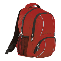 BRT Reflect Back Pack