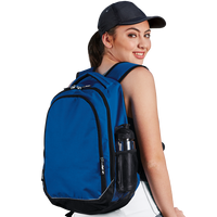 BRT Chrome Back Pack